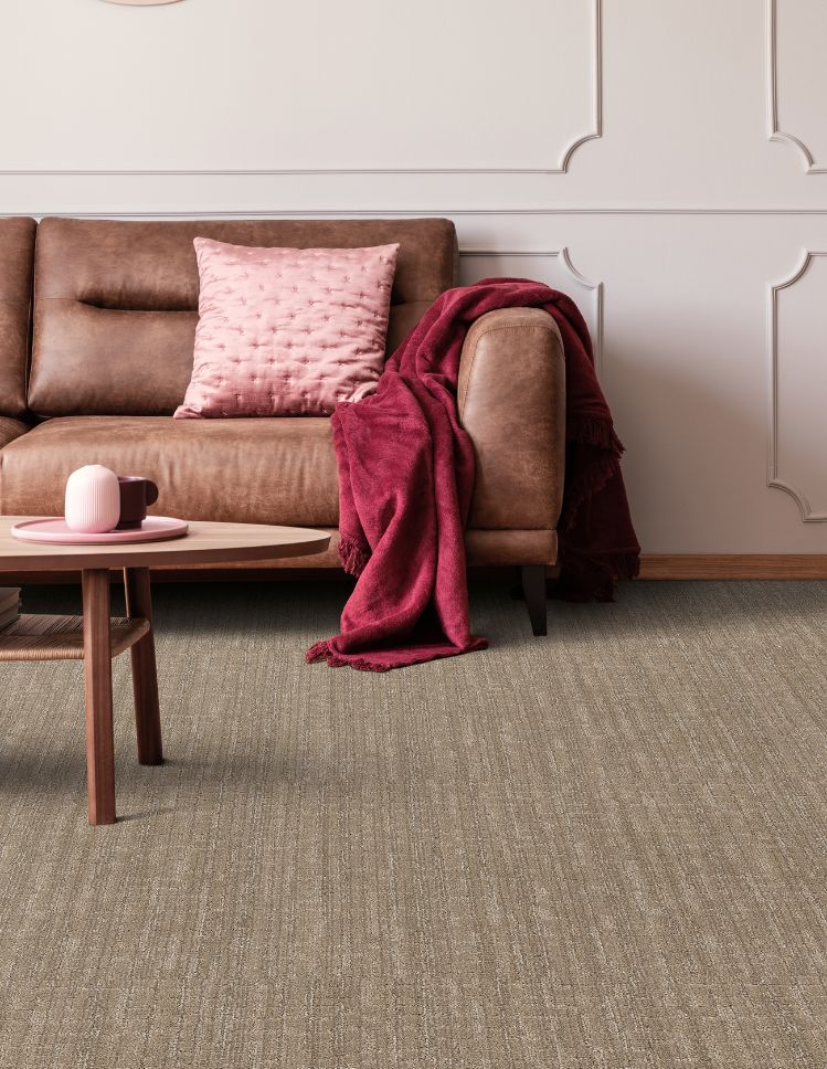 brown textured carpets in a living room